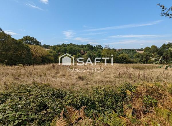 Terrain agricole libre, actuellement en prairie, 5 390 m², Chailland