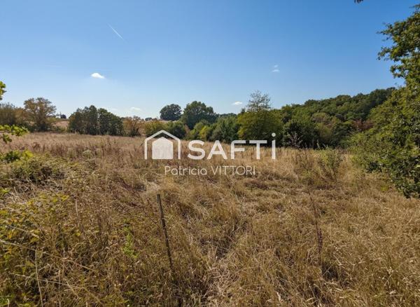 Terrain agricole libre, actuellement en prairie, 5 390 m², Chailland