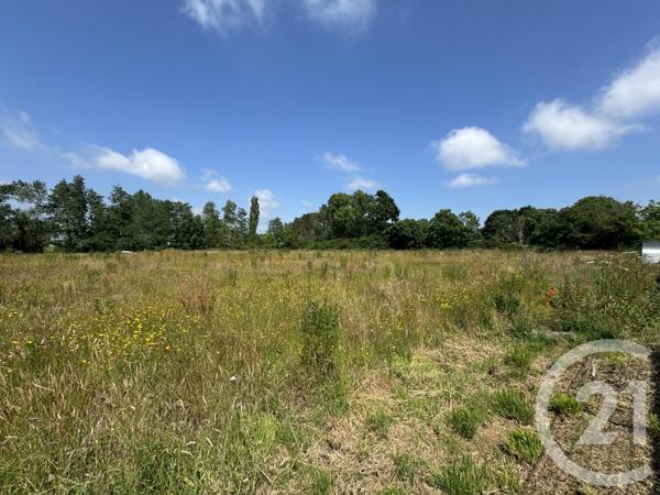 Terrain à vendre  425 m2 GOUVILLE SUR MER - 50