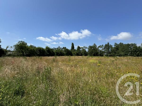 Terrain à vendre  425 m2 GOUVILLE SUR MER - 50