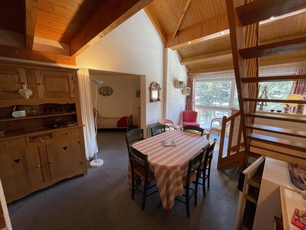 Splendide duplex avec vue sur la forêt et la rivière, charme