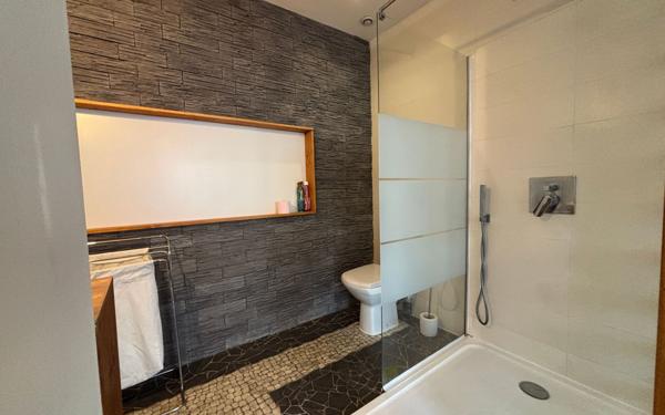 Appartement à louer    2 pièces •  Saint-Étienne