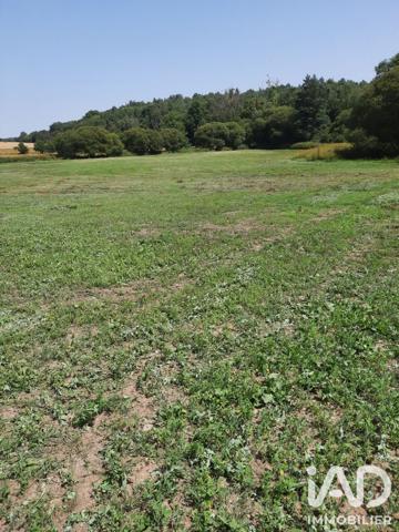 Terrain à vendre 39 200 m² Plumieux