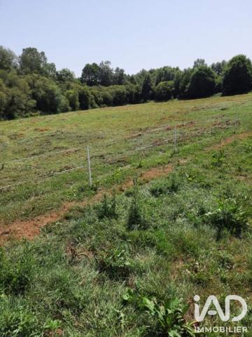 Terrain à vendre 39 200 m² Plumieux