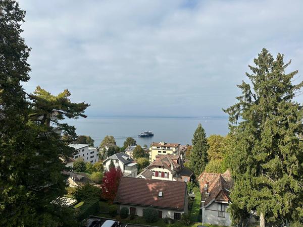 À Évian-les-Bains, T3 avec une magnifique vue sur le Léman, proche des commodités