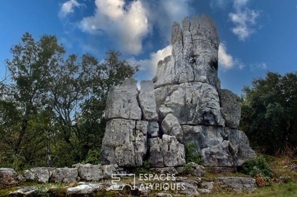 Mas de charme intimiste avec grand terrain arboré et spacieuse piscine