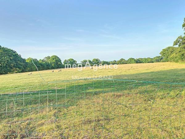 Maison à SAINT-CHRISTOPHE-DU-BOIS, 49280 - 5 pièces 140m²