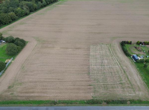 Terrain à MOLAC, 56230 - 1065m²