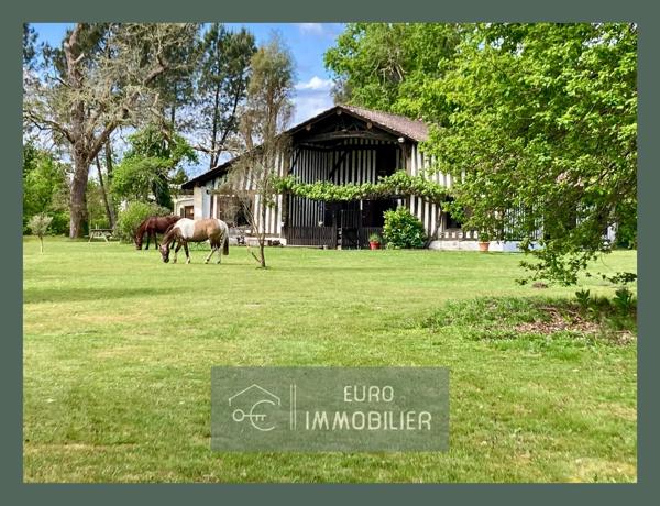 LANDAISE AUTHENTIQUE - GITE - 7HA - PISCINE - AIRIAL - LANDES (40) - AQUITAINE