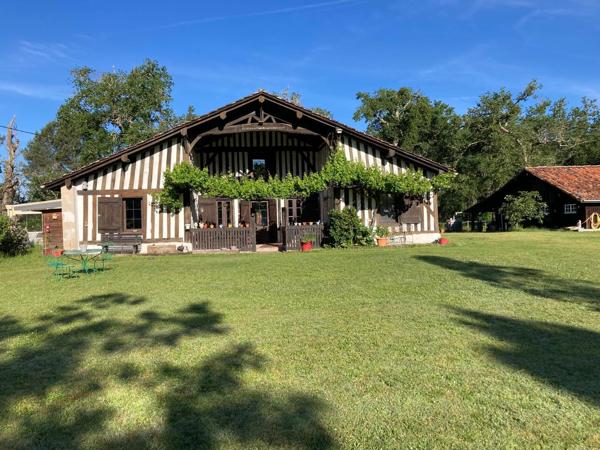 LANDAISE AUTHENTIQUE - GITE - 7HA - PISCINE - AIRIAL - LANDES (40) - AQUITAINE