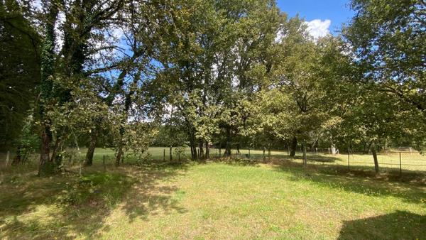 LANDAISE AUTHENTIQUE - GITE - 7HA - PISCINE - AIRIAL - LANDES (40) - AQUITAINE