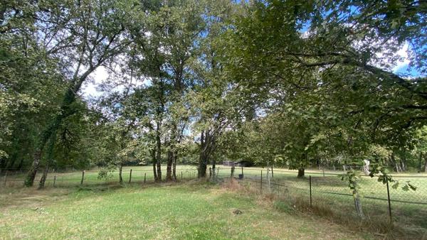 LANDAISE AUTHENTIQUE - GITE - 7HA - PISCINE - AIRIAL - LANDES (40) - AQUITAINE