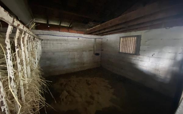 Maison à vendre    4 pièces •  Les Mathes