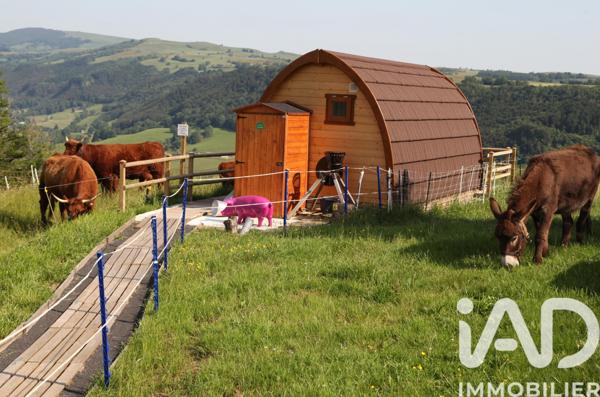 Maison à vendre 7 pièces 248 m² Saint-Martin-Valmeroux