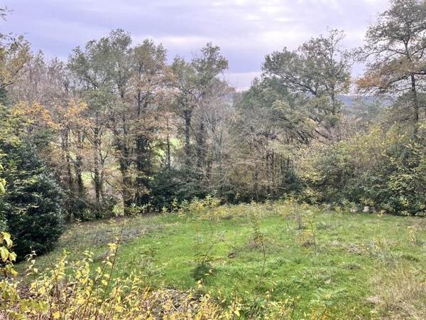 Maison à vendre |  Brivezac |  3 pièces | 65 m²