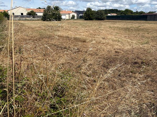 Saint Gilles Croix De Vie terrain viabilisé 500 m2