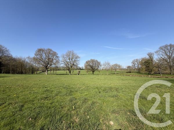 Maison à vendre  14 pièces - 383,90 m2 NOYAL SOUS BAZOUGES - 35