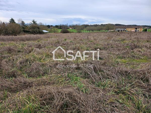 Terrain de 2500 m2 plat et constructible
