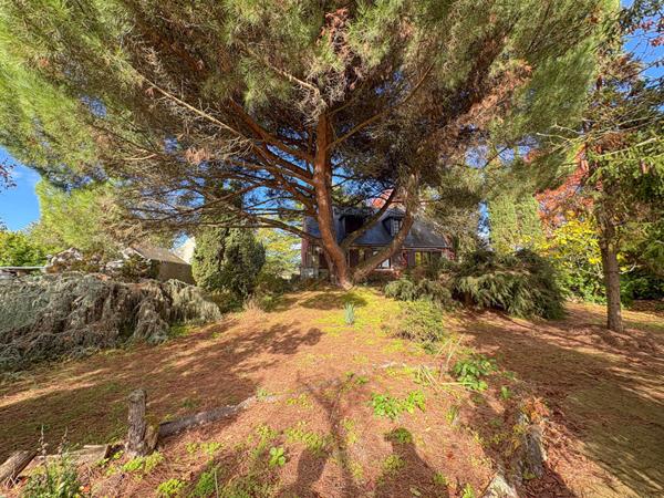 ANGERS secteur la Baumette - Maison à rénover sur parc arboré de 2 000 m² !