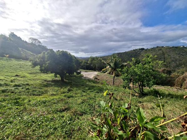 Terrain 817 m² viabilisé – Sainte-Luce
