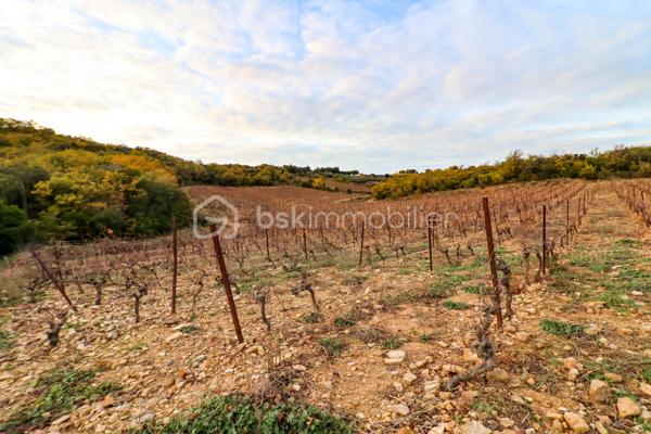 Terrain agricole de 41 775 m²