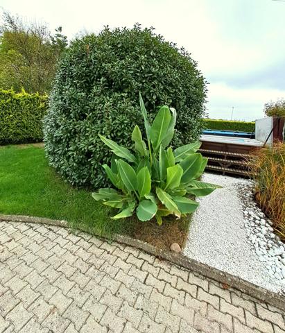 Maison de caractére à VINCEY (88)