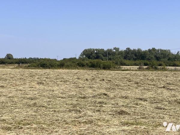 TERRAIN À BÂTIR À HINGES – LOT DE 4 PARCELLES 