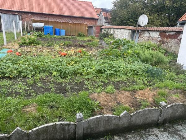 Vente Maison100 m² - 3 Pièces - AVESNES LE COMTE (62810)