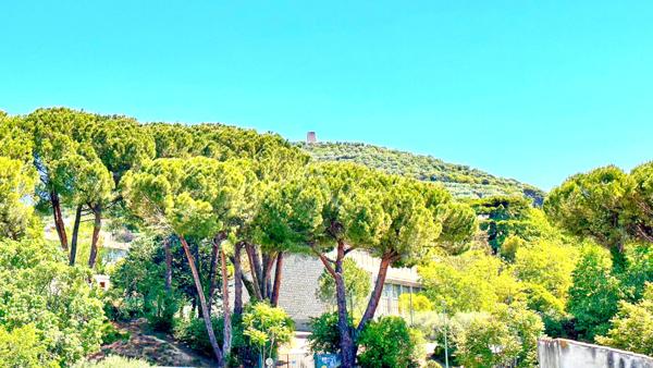 APPARTEMENT TYPE 4 RENOVE VUE MONT D'OR AU CENTRE VILLE AVEC CAVE