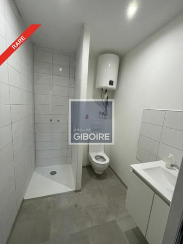 Local d'activites 420 m² à vendre DOMLOUP (réf : 35.7063)