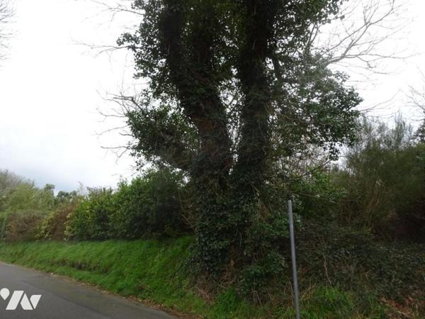 TERRAIN A BATIR ST RENAN