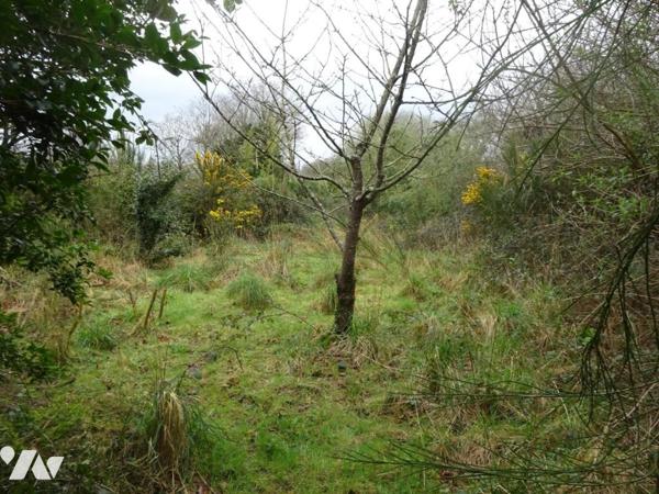 TERRAIN A BATIR ST RENAN