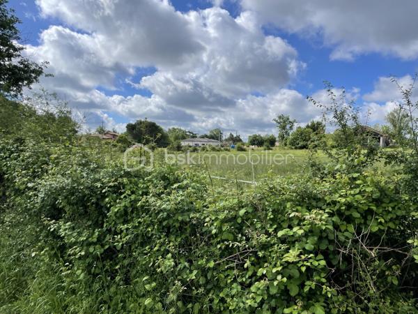 Très beau terrain plat de 770 m2 dans quartier calme et prisé de Montauban.