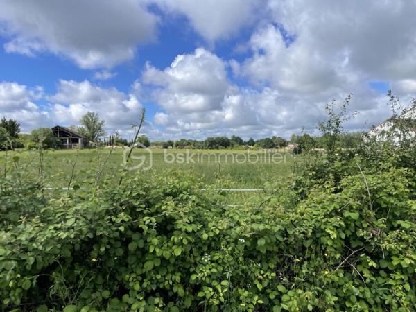 Très beau terrain plat de 770 m2 dans quartier calme et prisé de Montauban.