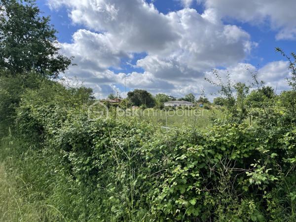 Très beau terrain plat de 770 m2 dans quartier calme et prisé de Montauban.