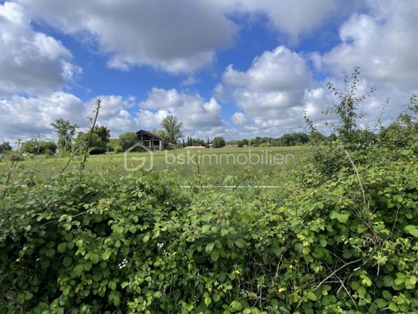 Très beau terrain plat de 770 m2 dans quartier calme et prisé de Montauban.
