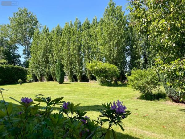 Achat - Maison | Pavillon Wormhout 59470 7 pièces 145 m 2 1840 m 2