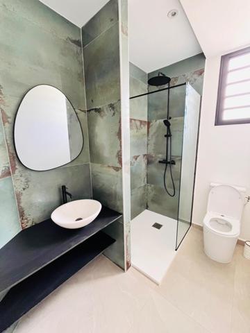 Maison divisée en deux appartements neufs meublés T3 et T5, proche CHU, piscine, terrasses