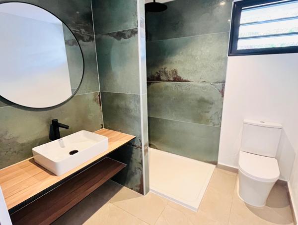 Maison divisée en deux appartements neufs meublés T3 et T5, proche CHU, piscine, terrasses