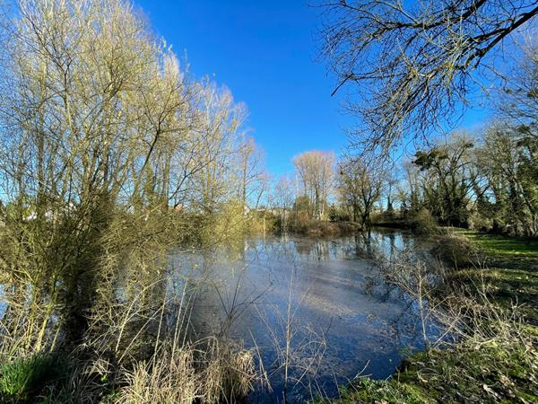 EXCLUSIVITÉ ? Terrain de 6 680 m² avec étang, île, chalet et partie constructible