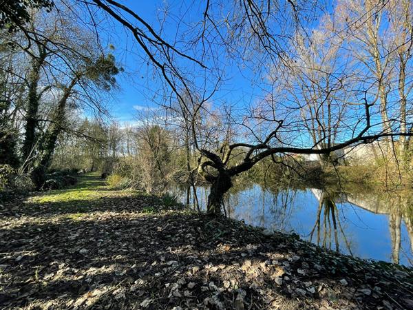 EXCLUSIVITÉ ? Terrain de 6 680 m² avec étang, île, chalet et partie constructible