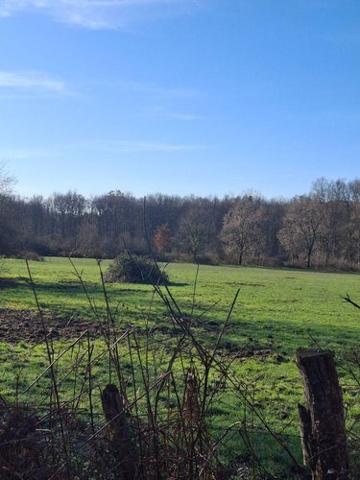 Terrain agricole à vendre à Allogny dans le Cher (18110), ref : 18016/2115