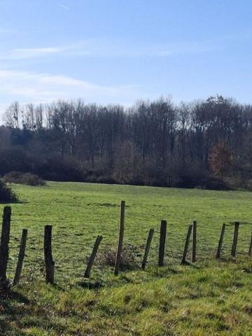 Terrain agricole à vendre à Allogny dans le Cher (18110), ref : 18016/2115