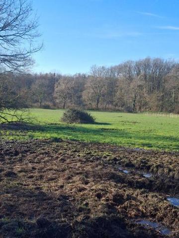 Terrain agricole à vendre à Allogny dans le Cher (18110), ref : 18016/2115