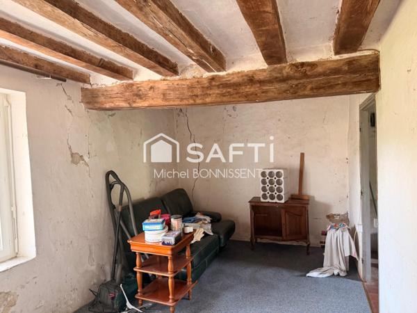 Maison en bord de Sologne avec grand terrain et dépendances