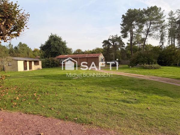 Maison en bord de Sologne avec grand terrain et dépendances