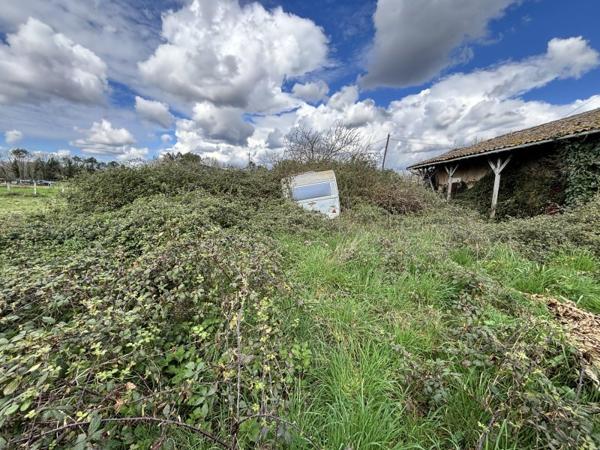 Vente / Maison