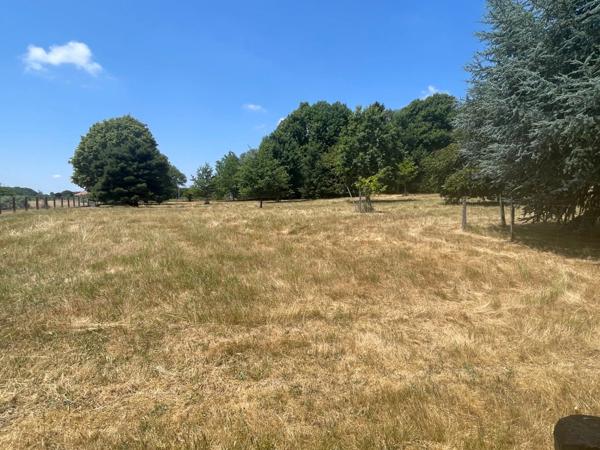 Maison 130m2 avec dépendance, plan d'eau et un hectare de terrain plat