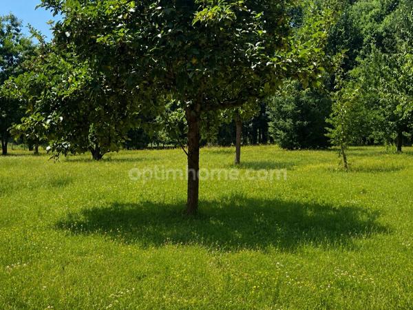 Maison 130m2 avec dépendance, plan d'eau et un hectare de terrain plat