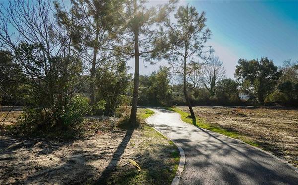 Terrain à vendre |  Bénesse-Maremne |  731 m²